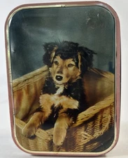 Vintage Edward Sharp & Sons LTD Dog Terrier Toffee Tin made in England