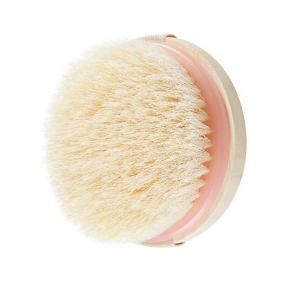 EcoTools Dry Body Brush, Cruelty-Free Bristles 1 Count (Pack of 1), No Color