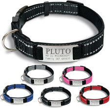 Gruppo  - Collare Cane Personalizzato - Collare Cane Personalizzabile Con Targhe