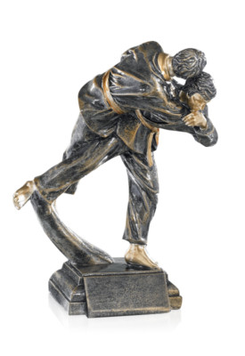 Judo Figur Pokal Pokale Resin *NEU* 23 cm inkl. Gravur
