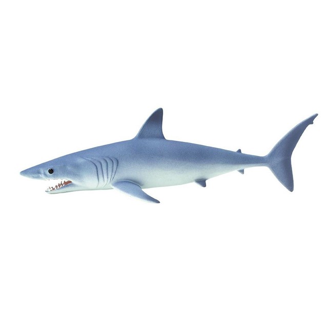 educational shark toys