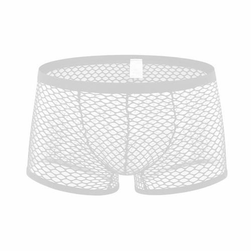 Men Sexy Trunks Underwear Mesh See Through Boxer Briefs Shorts Panties Undies✔ - Picture 13 of 16
