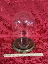 Clear Glass DISPLAY DOME  Wood Base