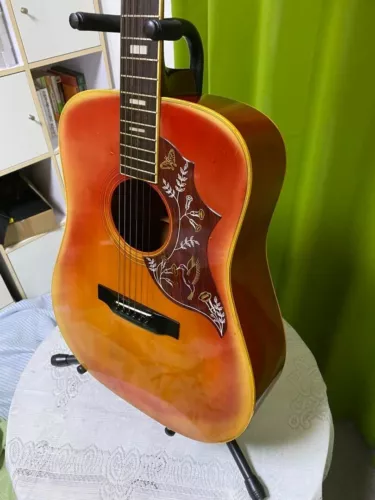 Morris WH-25 Acoustic Guitar by Gibson  From JAPAN