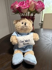 The Petting Zoo Get Well Soon Bear Plush w Blue Hospital Gown & Slippers 12"