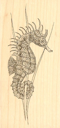 Ocean Seahorse Wood Mounted Rubber Stamp IMPRESSION OBSESSION D1325 New