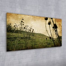 Acrylglasbild Wandbild Plexiglas 100x50 Foto Bild Wiesenblumen Vintage Natur