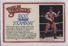 1980s Wrestling Superstars Action Figures Cards Ricky The Dragon Steamboat 0kb5