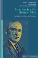 Experiencing The Hebrew Bible Spotlights On History And Tradition Buch Xvi 2025