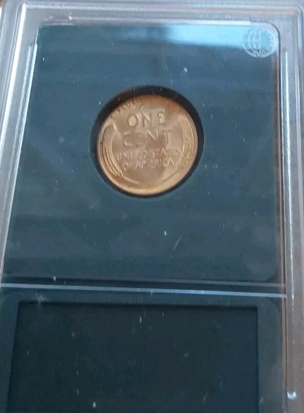 Picture 3 of 5