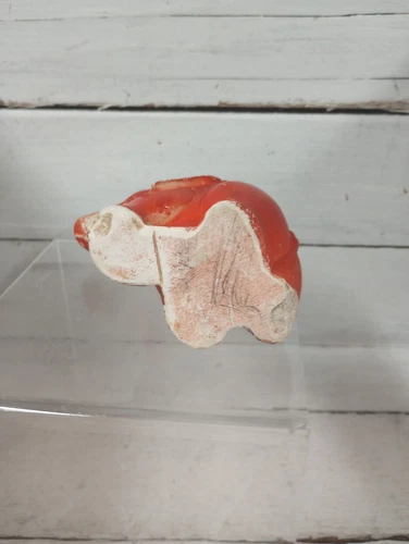 Vintage Chalkware Elephant, Circus Elephant Figurine Black and Red. - Picture 5 of 9