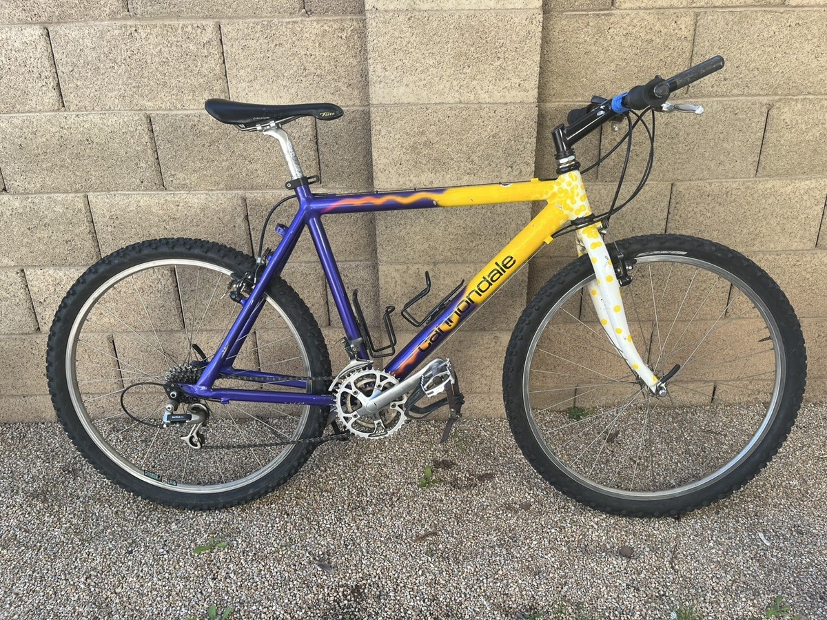 1992 Cannondale M2000 MTB ~ 18 Frame Suntour XC Original Paint