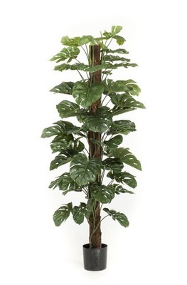 artplants Kunstpflanze Philodendron Monstera Deliciosa LASO, 180cm