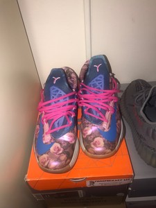kd 11 cancer