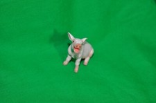 SAFARI LTD 245829 SITTING PIGLET EDUCATIONAL FIGURINE TOY NEW