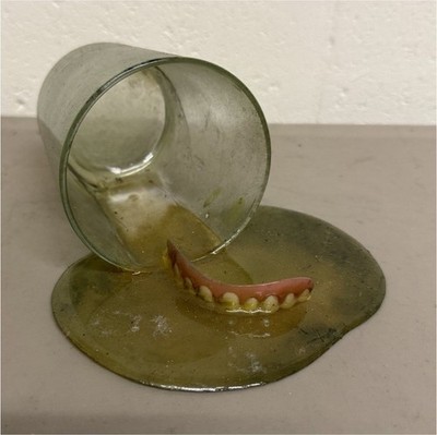 Denture Model with Glass and Artificial Teeth Dentistry Halloween prop