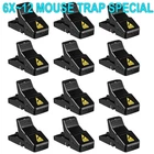 6~12X  Pack Mouse Traps Rat Mice Killer Snap Trap Power Rodent Heavy Duty Pest