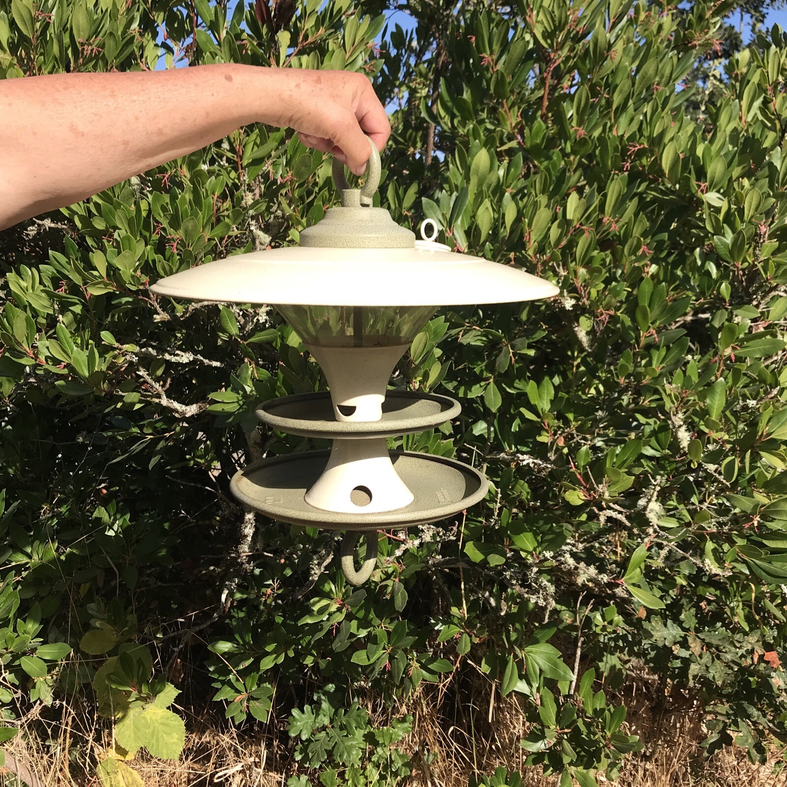 National Geographic Beautiful Tom Torrens Bird Feeder, Rare Collectible