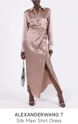 NWT Alexander Wang rose beige silk maxi 