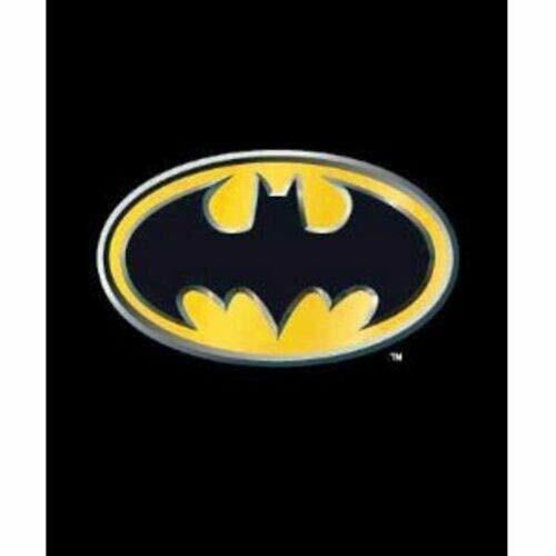 Marvel DC Batman Flash Superman Wonder Woman Monroe Pitbull Vliesdecke - Bild 8 von 28