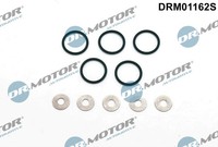 Dichtungsset, EinspritzdüSe Dr. Motor Automotive DRM01162S FüR OE ERR6417