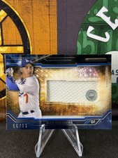 2015 Topps Strata - Clearly Authentic Relics Blue #CARC-AG Alex Guerrero #/99