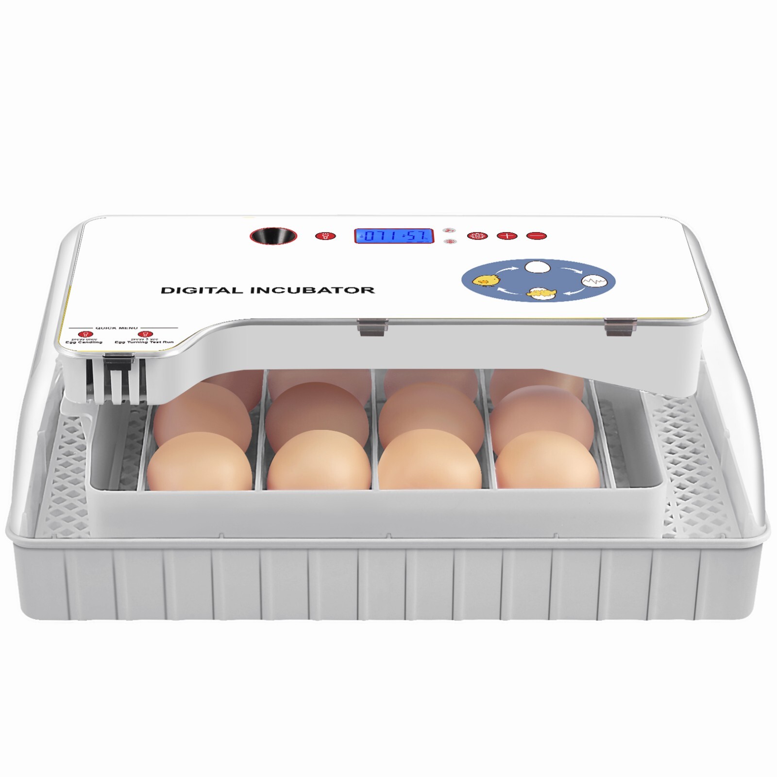 Bewinner 12 Eier Inkubator Vollautomatisch - Mit Eierdrehung Und LED-Beleuchtung