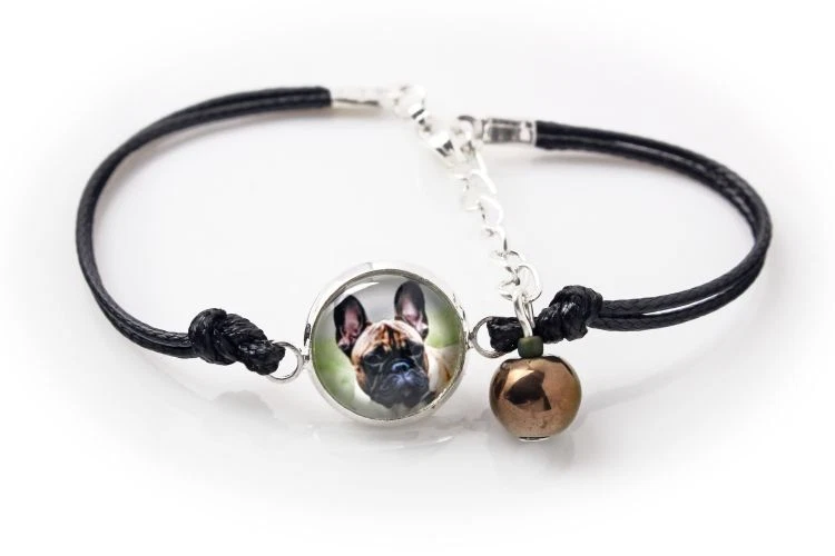 Französische Bulldogge. Schmuck mit Box. Armband und Ohrringe. Photojewelry. AT