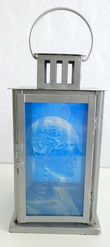 Lantern Medical Human XRAYS Images Brain Skeleton Candle Holder Medical