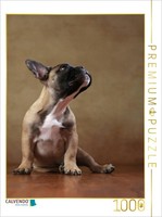 Calvendo Puzzle Rocky - French Bulldog, 16 Weeks Old | 1000 Pieces, Finished Siz
