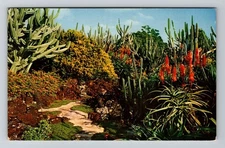 Kauai HI-Hawaii, Moir's Pa'U-A-Laka Gardens, Vintage c1960 Postcard