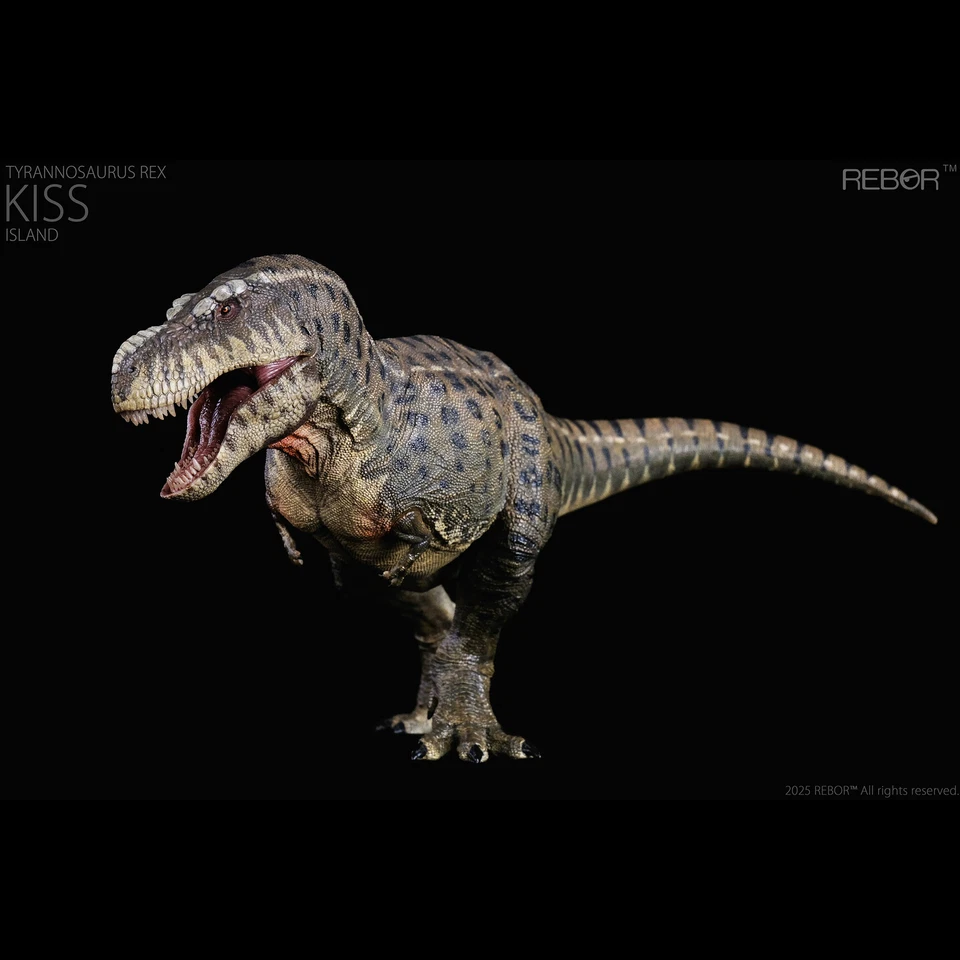 REBOR 1:35 Tyrannosaurus Rex “KISS” Isla Modelo Colección Dinosaurio Animal Regalo Foto 3 de 4