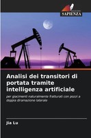 Analisi Dei Transitori Di Portata Tramite Intelligenza Artificiale Jia Lu Buch