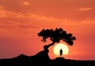 Wandbild: Mann unter dem krummen Baum auf dem Hintergrund der Sonne. [...]