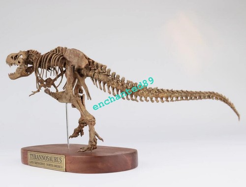 Tyrannosaurus Rex Skelett Dinosaurier Statue Tiermodell Sammlerstück Display - Bild 5 von 9