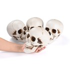 4 Pcs Human Life Size Skeleton Skull Halloween Moving Jaw Decorations — photo 2
