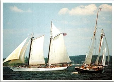 Postcard Maine ME Windjammers Harvey Gamage Rachel B Jackson Photo By Ed Elvidge