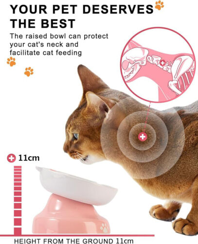Y YHY Slow Feeder Cat Bowl Elevated Ceramic Cat Bowl Tilted Design Slow Feeder - Picture 3 of 6
