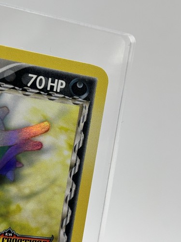 Nidorino und Nidoran Dragon Frontiers "Paar" 2006 NM Reverse Holos - Bild 5 von 24