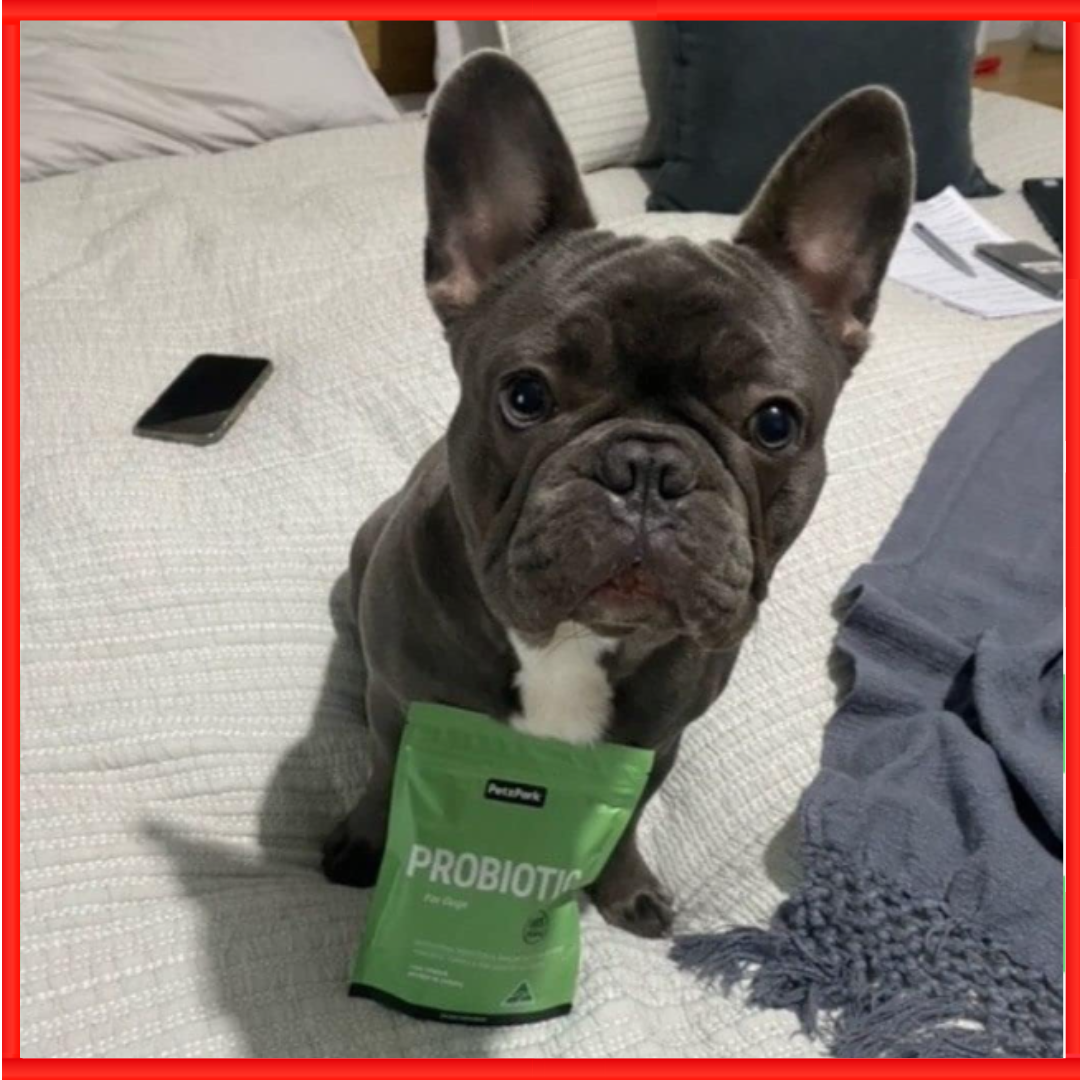 Probiotic for Dogs Grain Free Paw Licking Yeast Infection Gas