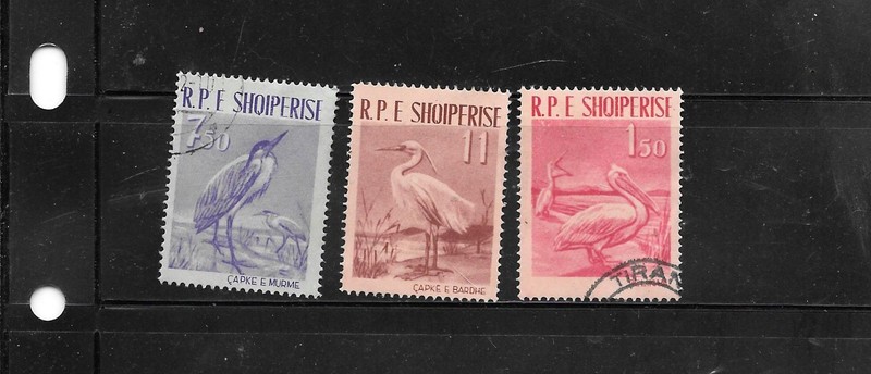 ALBANIA SC#542-4 1961 USED /MNG  XF OLD BIRDS PICTORIAL TOPICAL STAMP SET