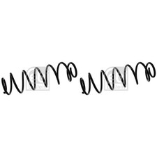 2X FEBI FAHRWERKSFEDER FEDERN SATZ HINTEN passend für RENAULT LAGUNA 