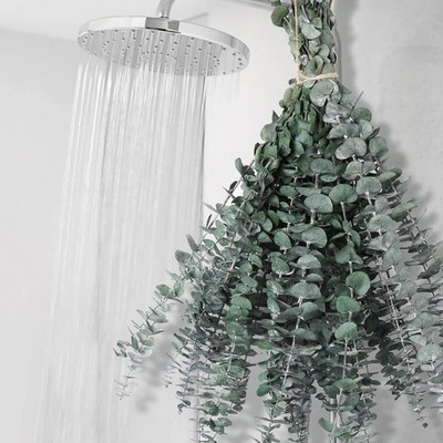 Tallos de eucalipto secos de 43 cm. Tallos de eucalipto preservados Planta ducha