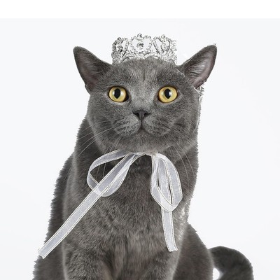 Pet Series Royal Rhinestone Mini Full Round Dog/Cat Crown for Costume Small D...