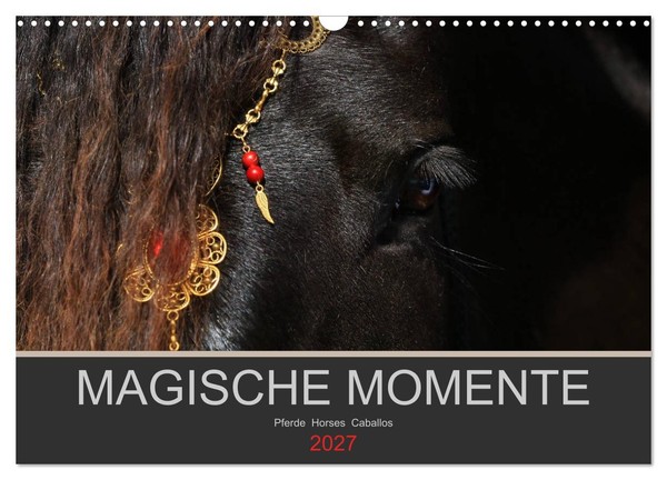 Calendar 2027 · US Version · Magical Moments - Horses Horses Caballos (Wall Cale-image