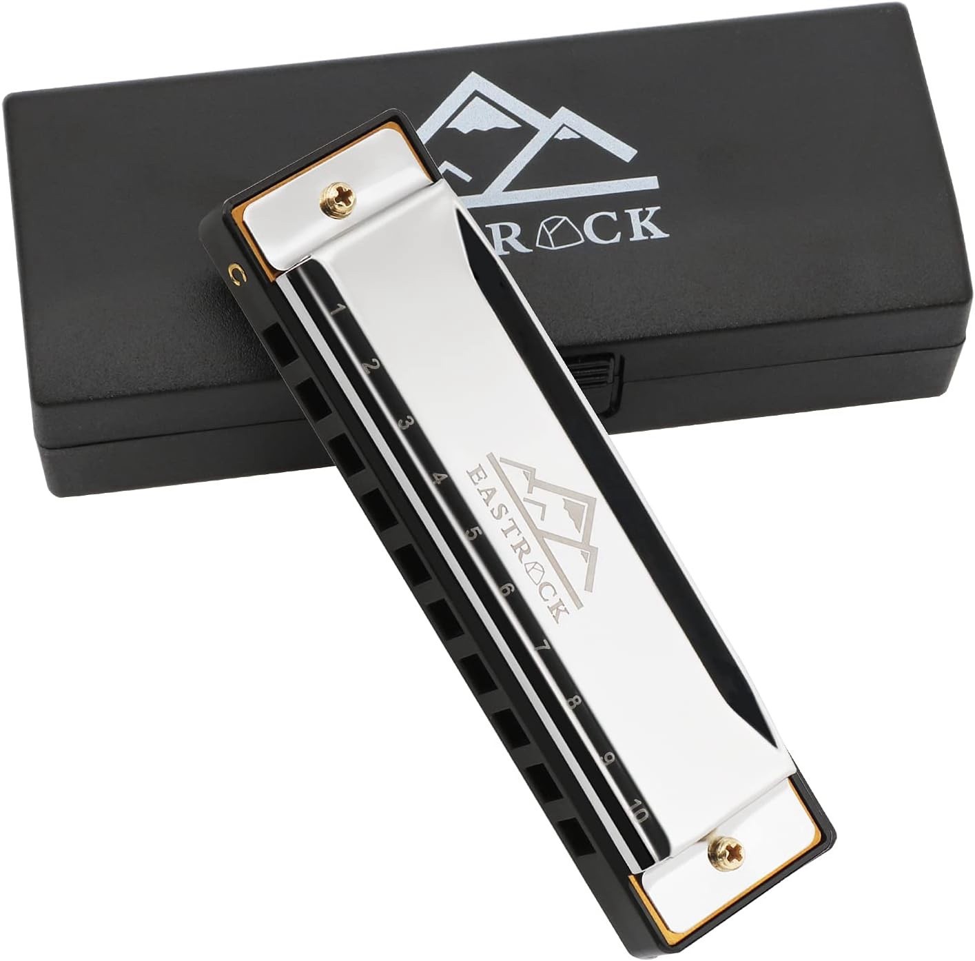 Harmonica Do EastRock pour débutant afin d'apprendre la musique facilement avec étui portable