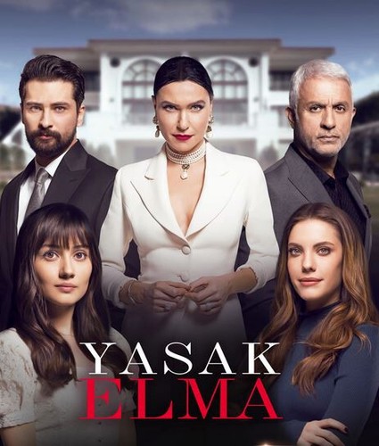 PECADO ORIGINAL (Fruto Prohibido) Novela Turca (1080p) En Español - Latino (USB) - Bild 5 von 5