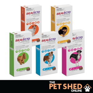 bravecto 2 pack