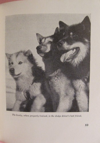 NORTHEAST TO THE ARCTIC - PRINTED 1957, DEPARTMENT OF DEFENSE - Picture 4 of 5