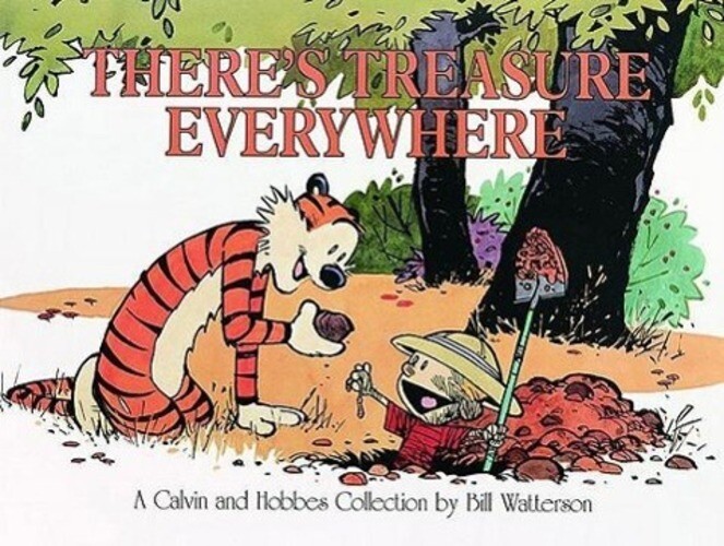 Thumbnail - Calvin And Hobbes. There's Treasure Everywhere Bill Watterson